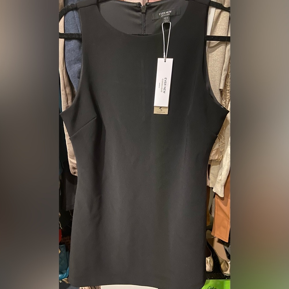 EVER NEW. NWT little black Audrey Shift Mini Dress. Sleeveless. Black. Size 8.